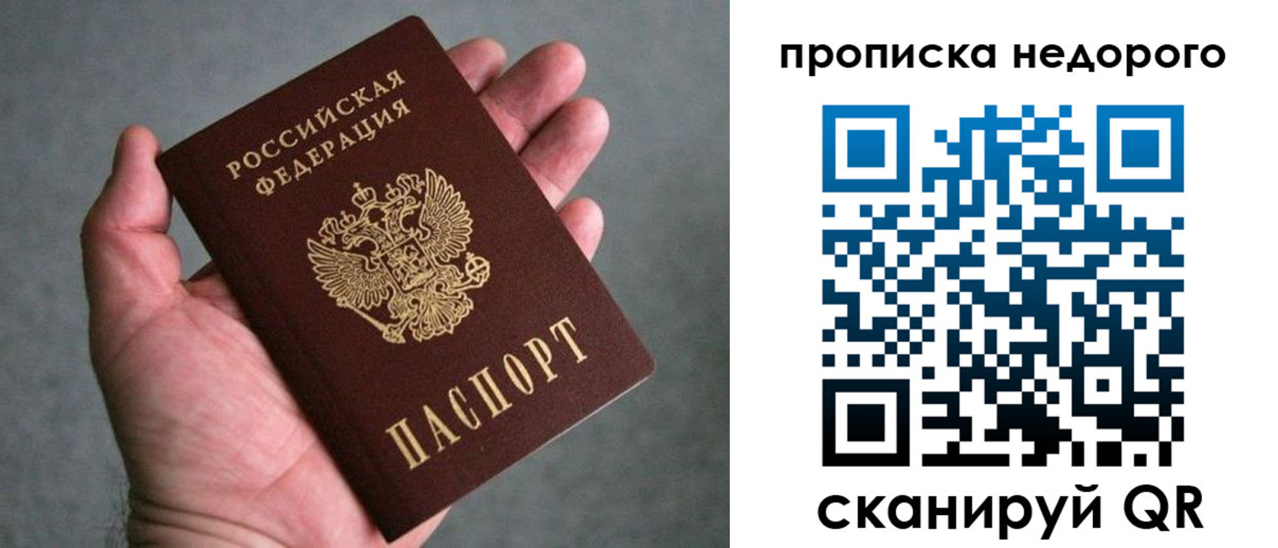 прописка поиск в Ставропольском крае